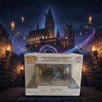 Funko POP! Moment: Harry Potter & Albus Dumbledore With Mirror Of Erised#145