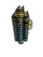 HALLOWEEN DECOR- BOOK OF SPELLS- (SET OF 2)