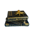 HALLOWEEN DECOR- BOOK OF SPELLS- (SET OF 2)
